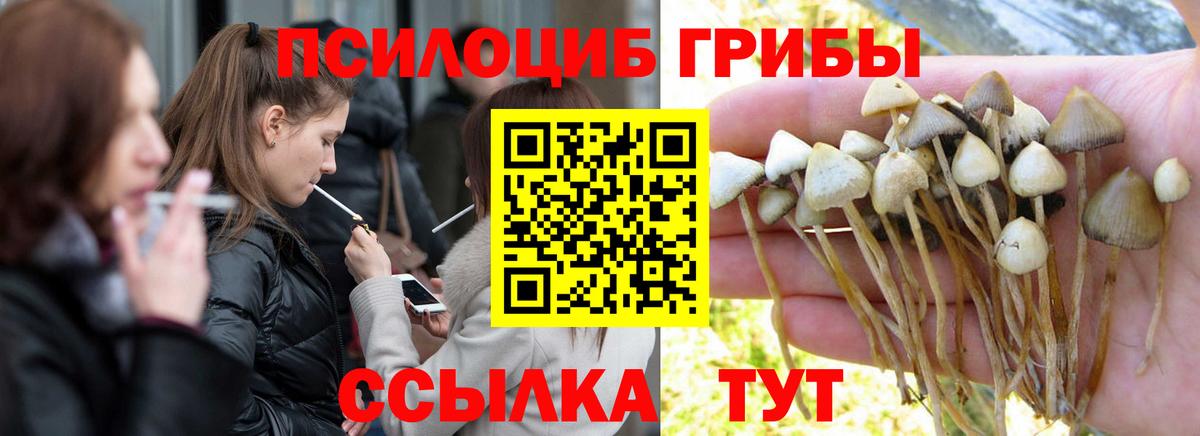 Псилоцибиновые грибы прущие грибы  Вход с VPN  Верхняя Салда 